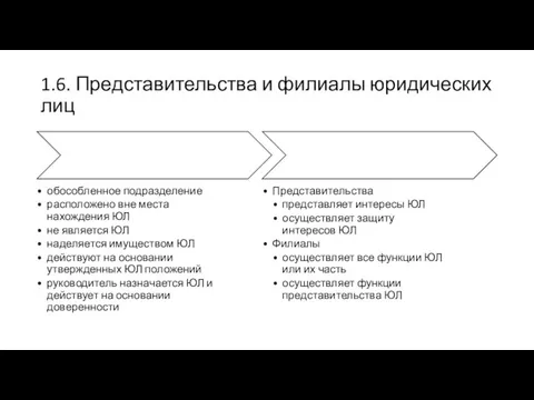 1.6. Представительства и филиалы юридических лиц