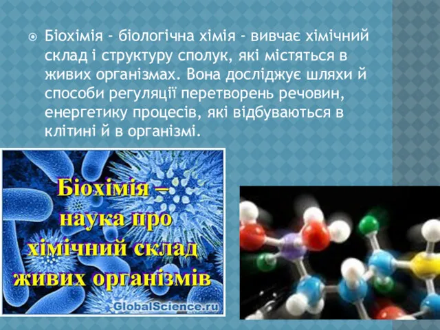 Біохімія - біологічна хімія - вивчає хімічний склад і структуру