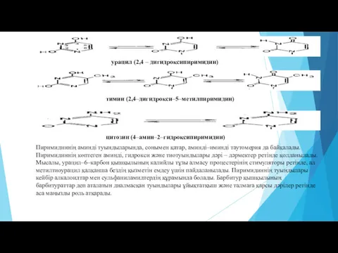 урацил (2,4 – дигидроксипиримидин) тимин (2,4–дигидрокси–5–метилпиримидин) цитозин (4–амин–2–гидроксипиримидин) Пиримидиннің аминді