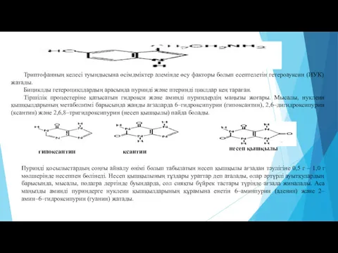 Триптофанның келесі туындысына өсімдміктер әлемінде өсу факторы болып есептелетін гетероауксин