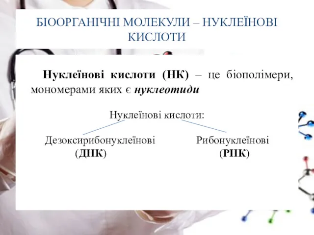 БІООРГАНІЧНІ МОЛЕКУЛИ – НУКЛЕЇНОВІ КИСЛОТИ Нуклеїнові кислоти (НК) – це