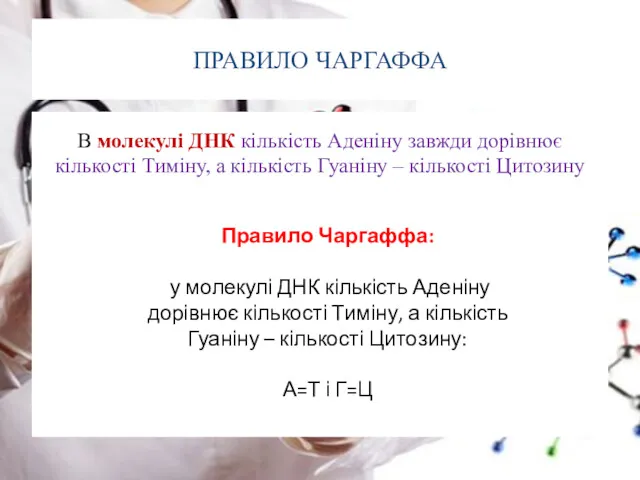 ПРАВИЛО ЧАРГАФФА В молекулі ДНК кількість Аденіну завжди дорівнює кількості