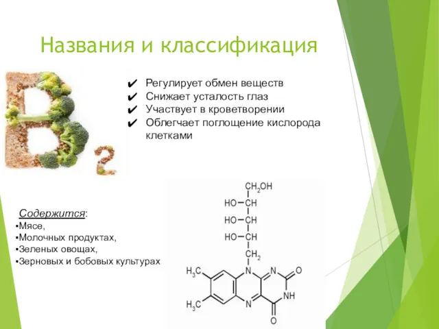 Названия и классификация Регулирует обмен веществ Снижает усталость глаз Участвует