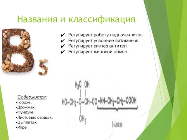 Названия и классификация Регулирует работу надпочечников Регулирует усвоение витаминов Регулирует