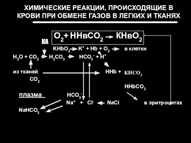 ХИМИЧЕСКИЕ РЕАКЦИИ, ПРОИСХОДЯЩИЕ В КРОВИ ПРИ ОБМЕНЕ ГАЗОВ В ЛЕГКИХ