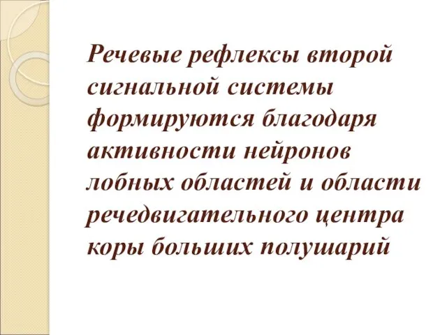 Речевые рефлексы второй сигнальной системы формируются благодаря активности нейронов лобных