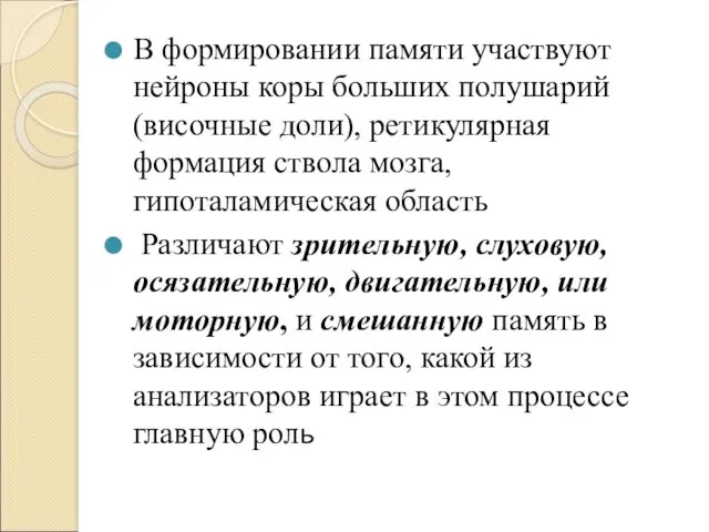 В формировании памяти участвуют нейроны коры больших полушарий (височные доли),