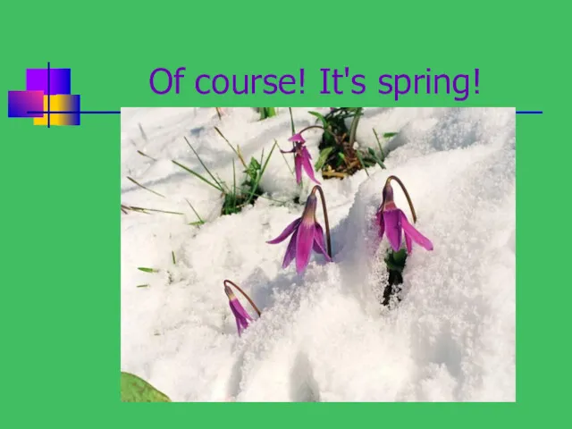 Of course! It's spring!