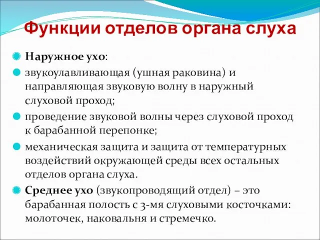 Функции отделов органа слуха Наружное ухо: звукоулавливающая (ушная раковина) и