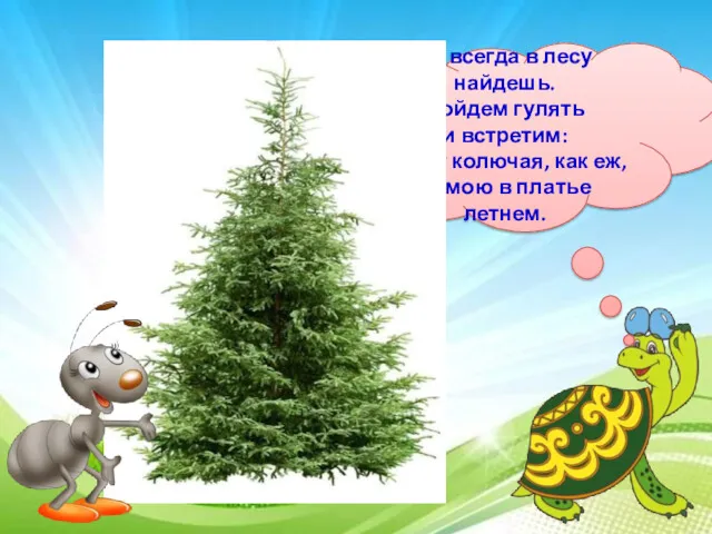 Ее всегда в лесу найдешь. Пойдем гулять и встретим: Стоит