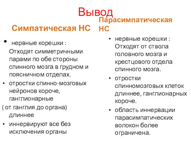 Вывод Симпатическая НС нервные корешки : Отходят симметричными парами по