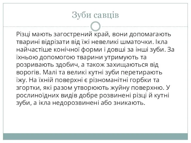 Зуби савців Різці мають загострений край, вони допомагають тварині відріза­ти від їжі невеликі