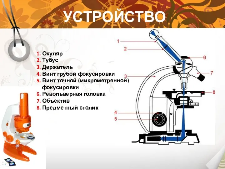 УСТРОЙСТВО МИКРОСКОПА 1. Окуляр 2. Тубус 3. Держатель 4. Винт