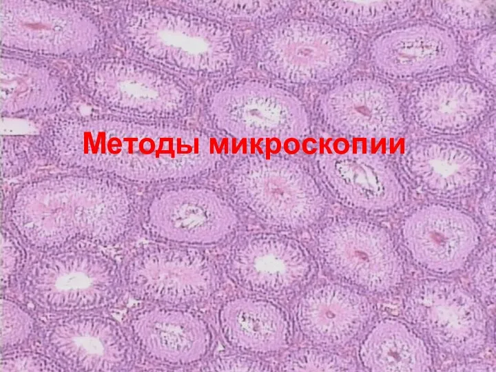 Методы микроскопии