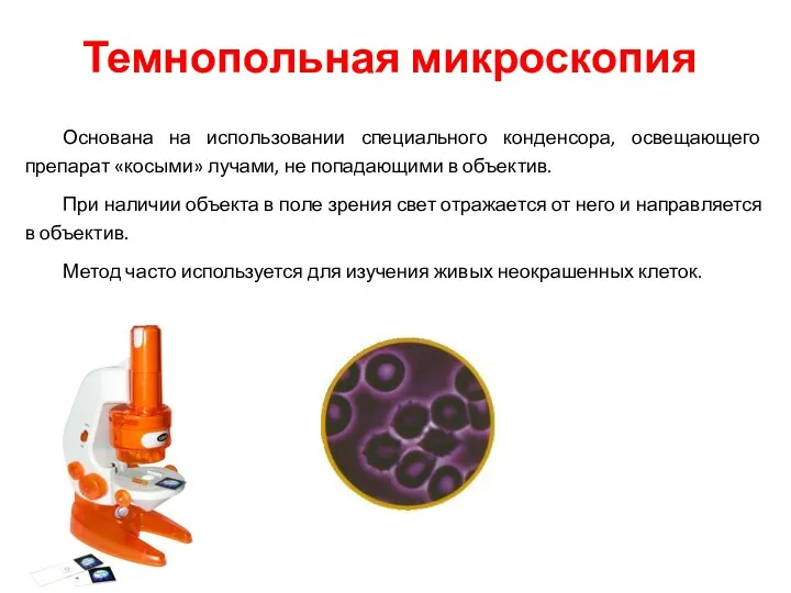 Темнопольная микроскопия Основана на использовании специального конденсора, освещающего препарат «косыми»