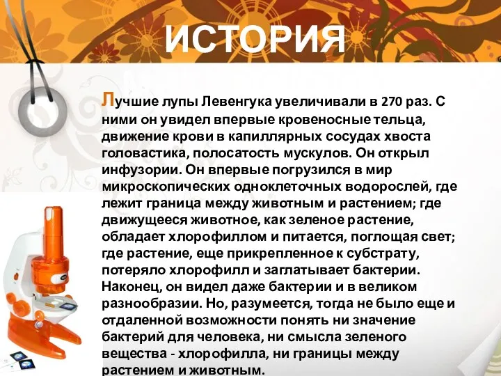 ИСТОРИЯ МИКРОСКОПА Лучшие лупы Левенгука увеличивали в 270 раз. С