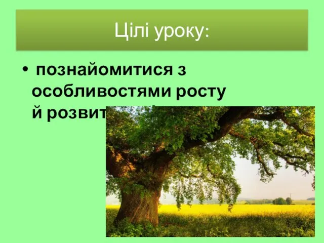 Цілі уроку: познайомитися з особливостями росту й розвитку квіткових рослин.