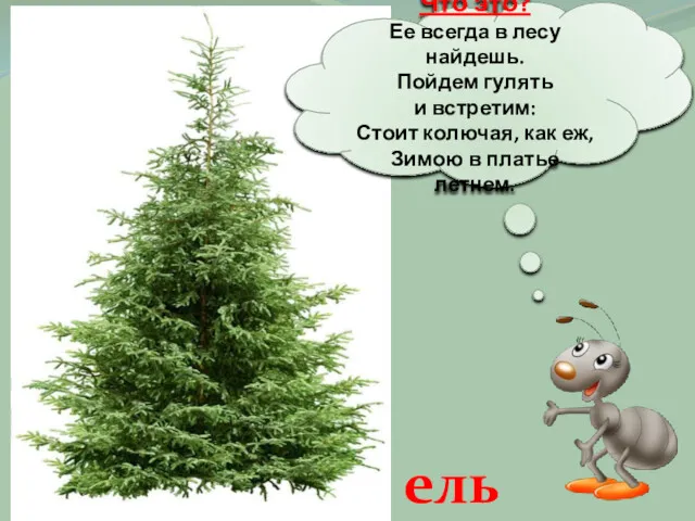 Что это? Ее всегда в лесу найдешь. Пойдем гулять и встретим: Стоит колючая,