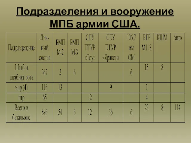 Подразделения и вооружение МПБ армии США.