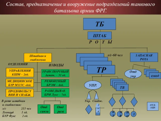 Состав, предназначение и вооружение подразделений танкового батальона армии ФРГ. ТБ