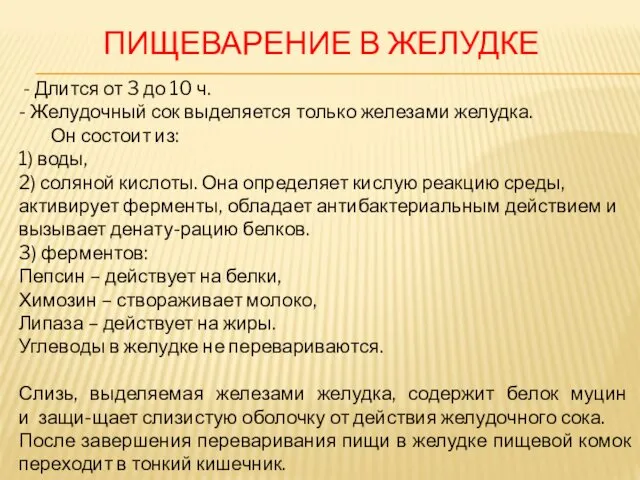 ПИЩЕВАРЕНИЕ В ЖЕЛУДКЕ - Длится от 3 до 10 ч.