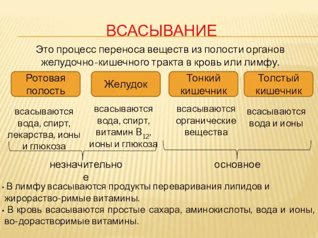 ВСАСЫВАНИЕ В лимфу всасываются продукты переваривания липидов и жирораство-римые витамины.