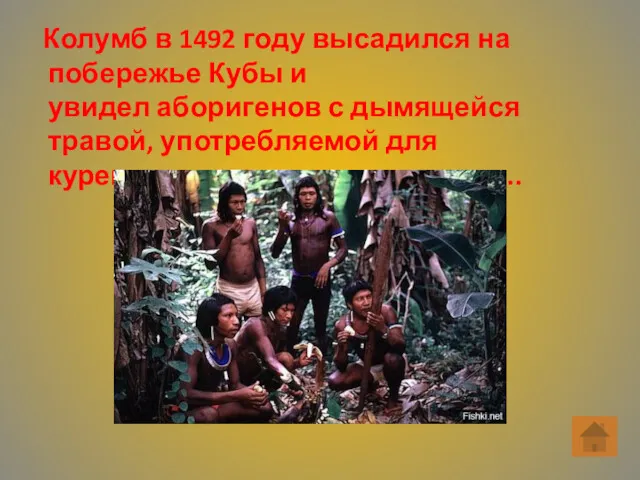 Колумб в 1492 году высадился на побережье Кубы и увидел