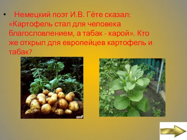 Немецкий поэт И.В. Гёте сказал: «Картофель стал для человека благословлением,