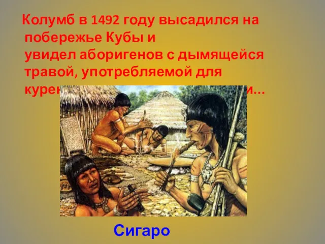 Колумб в 1492 году высадился на побережье Кубы и увидел