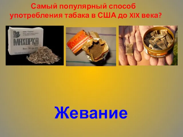 Самый популярный способ употребления табака в США до XIX века? Жевание