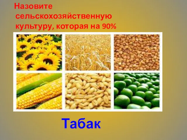 Назовите сельскохозяйственную культуру, которая на 90% сгорает, а на 10% выбрасывается? Табак