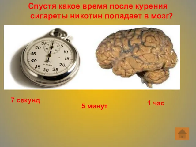 Спустя какое время после курения сигареты никотин попадает в мозг? 7 секунд 5 минут 1 час