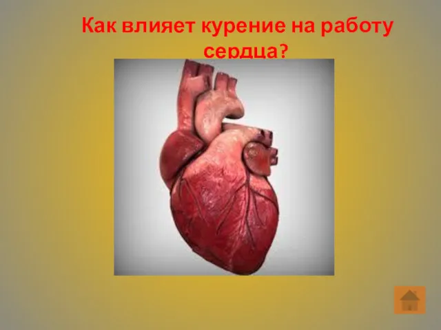 Как влияет курение на работу сердца?