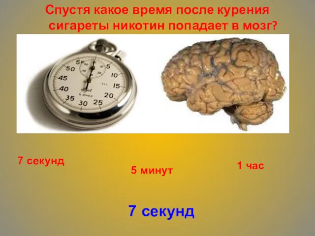 Спустя какое время после курения сигареты никотин попадает в мозг?