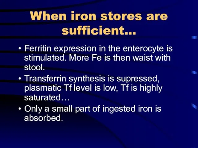 When iron stores are sufficient… Ferritin expression in the enterocyte