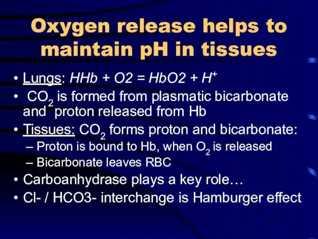 Oxygen release helps to maintain pH in tissues Lungs: HHb