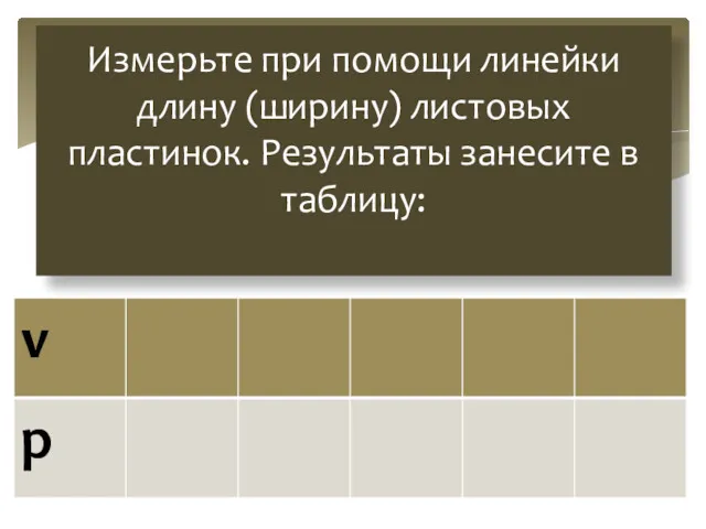 Измерьте при помощи линейки длину (ширину) листовых пластинок. Результаты занесите в таблицу: