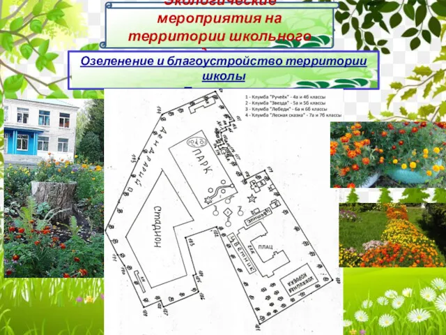 Экологические мероприятия на территории школьного двора Озеленение и благоустройство территории школы «Блок-схема»