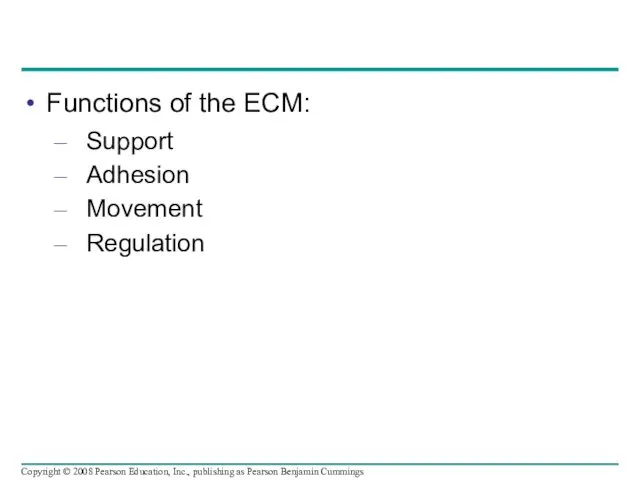 Functions of the ECM: Support Adhesion Movement Regulation Copyright ©