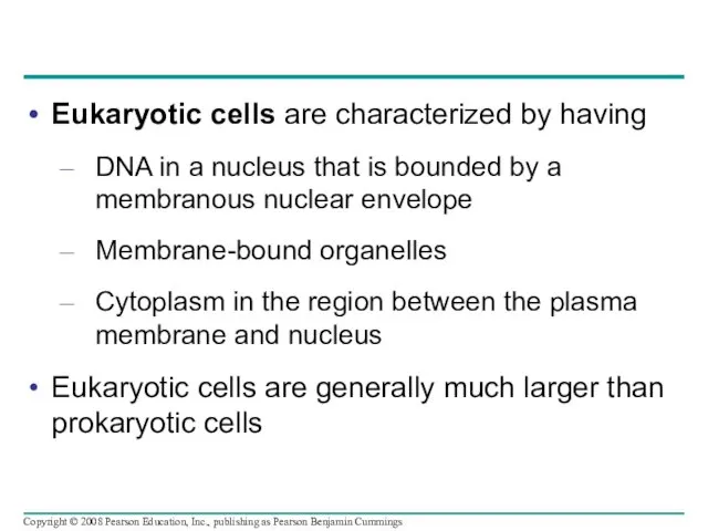 Eukaryotic cells are characterized by having DNA in a nucleus