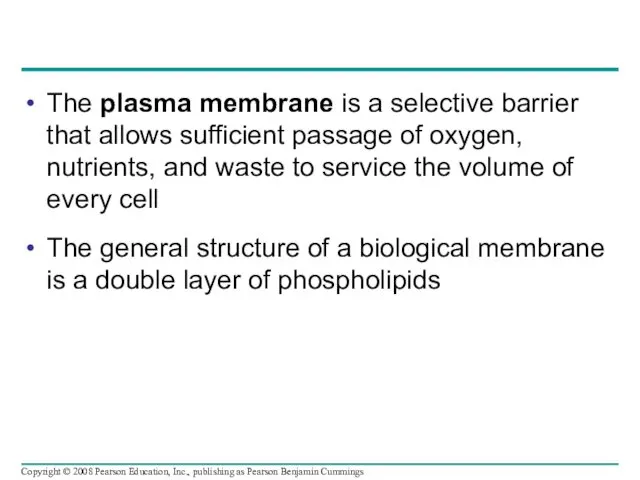 The plasma membrane is a selective barrier that allows sufficient