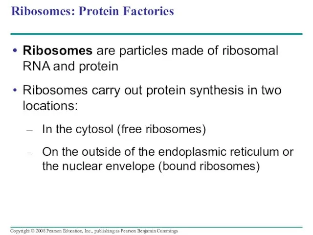 Ribosomes: Protein Factories Ribosomes are particles made of ribosomal RNA