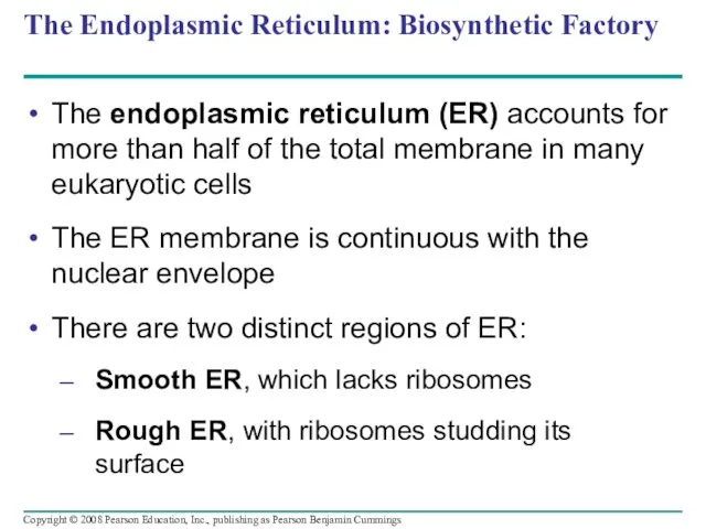 The Endoplasmic Reticulum: Biosynthetic Factory The endoplasmic reticulum (ER) accounts