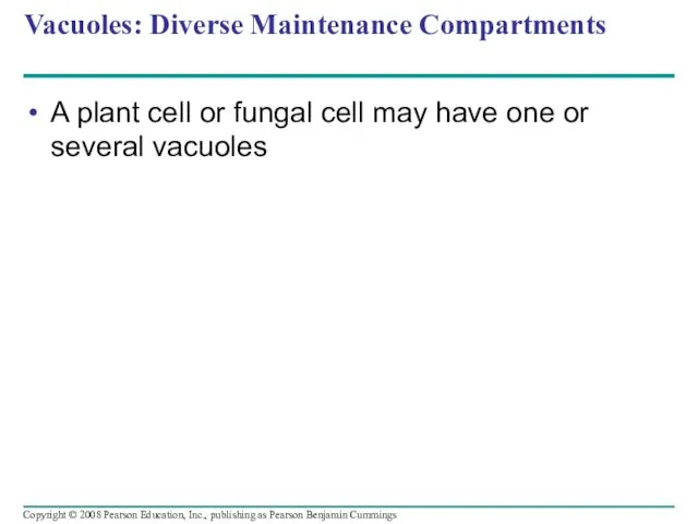 Vacuoles: Diverse Maintenance Compartments A plant cell or fungal cell
