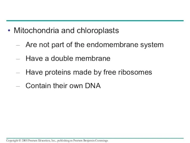 Mitochondria and chloroplasts Are not part of the endomembrane system