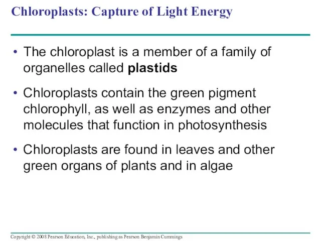 Chloroplasts: Capture of Light Energy The chloroplast is a member