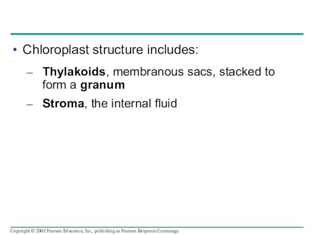 Chloroplast structure includes: Thylakoids, membranous sacs, stacked to form a