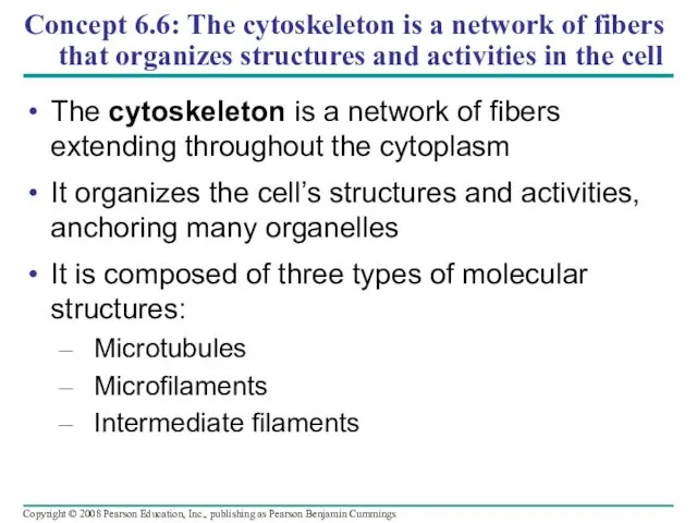 Concept 6.6: The cytoskeleton is a network of fibers that