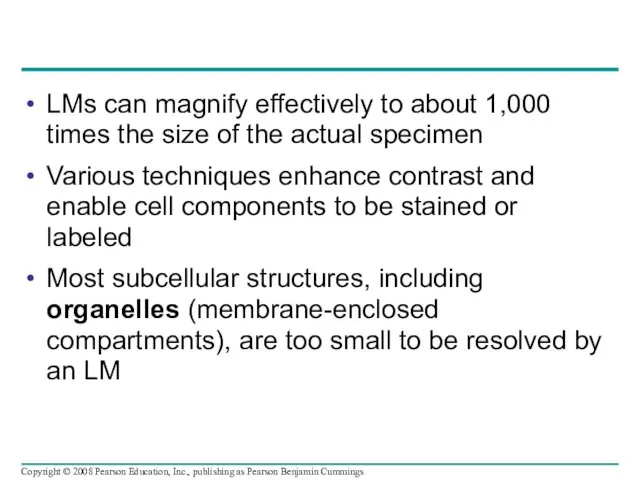 LMs can magnify effectively to about 1,000 times the size