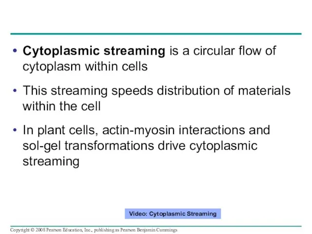 Cytoplasmic streaming is a circular flow of cytoplasm within cells